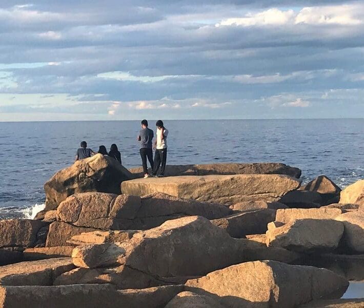 Picture of Halibut Point State Park 