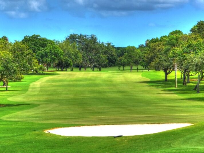 Picture of Dunedin Golf Club