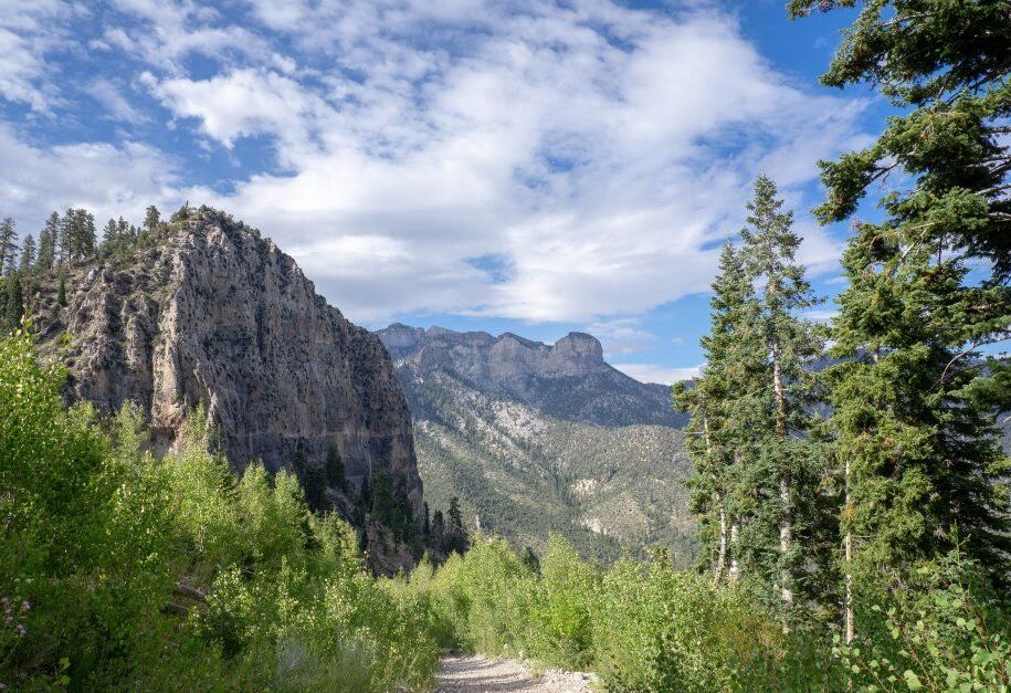 Picture of Mount Charleston - Rental car only adventure