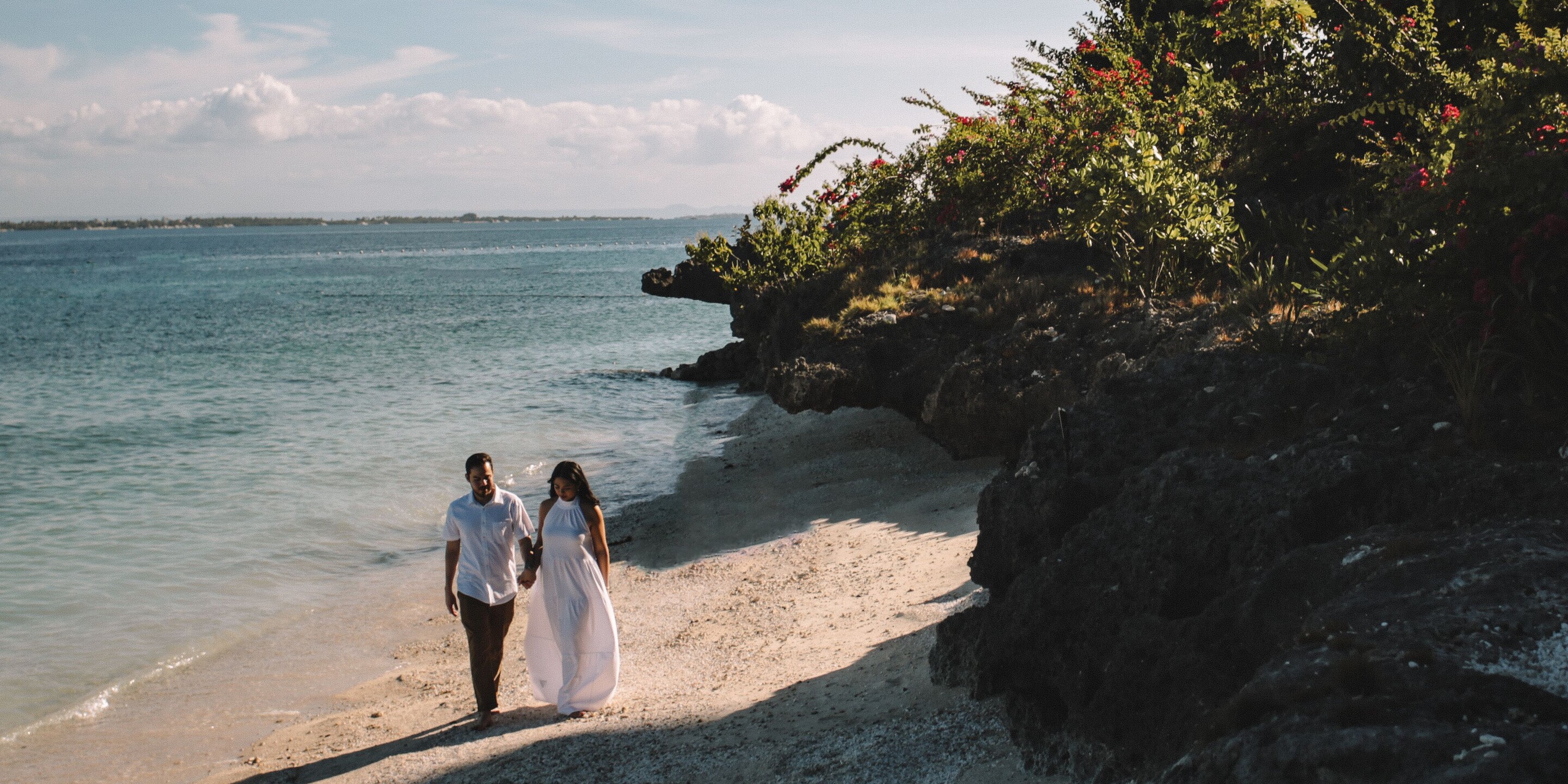 Nina & Dan Home Page Banner