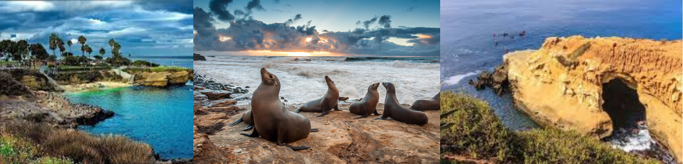 Picture of Explore La Jolla Cove