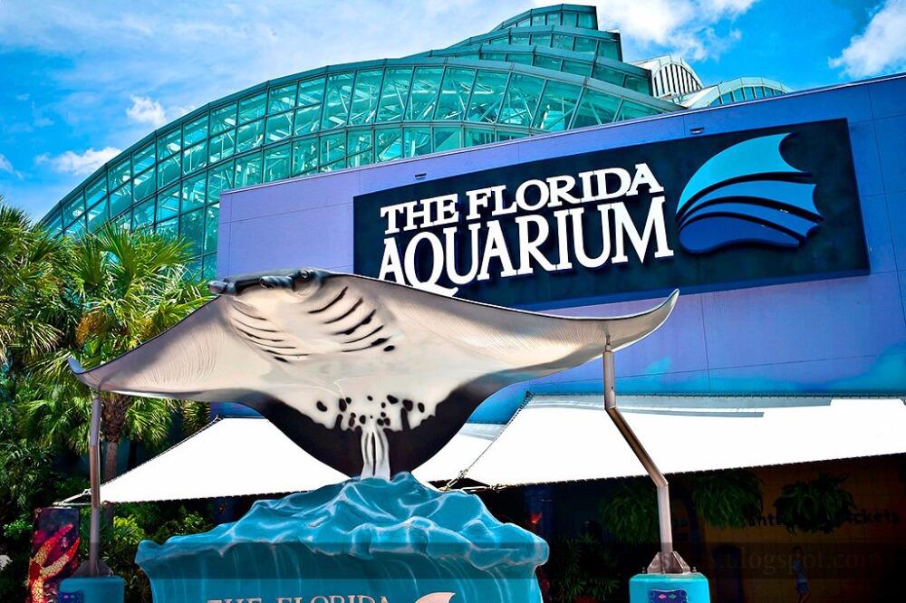 Picture of The Florida Aquarium