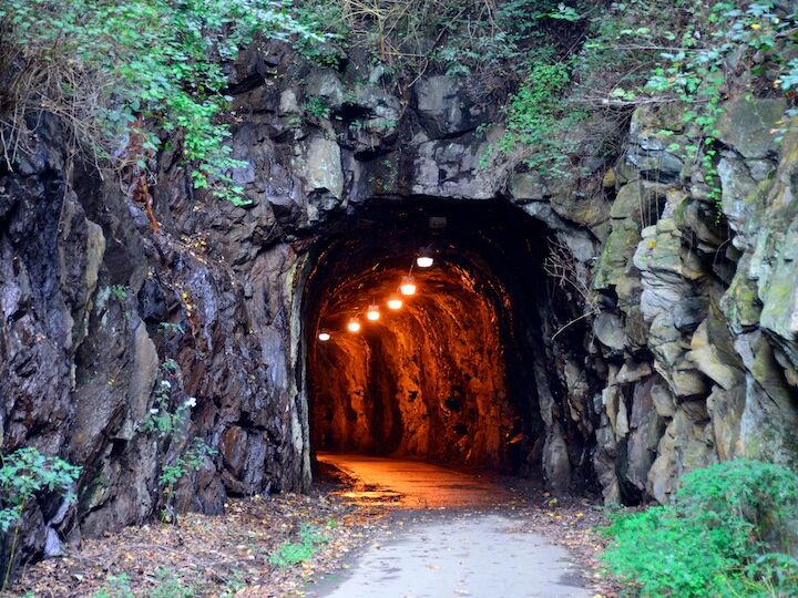 Picture of Blackwater Creek Trail Trailhead