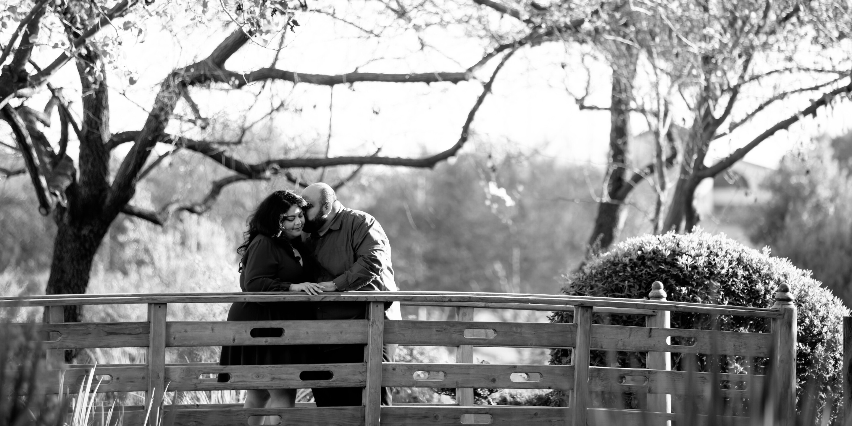 Jenny & Damian Home Page Banner