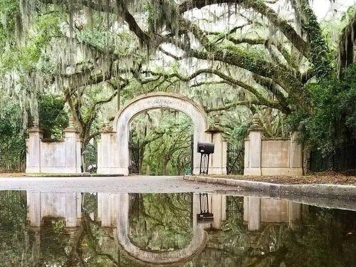 Picture of Wormsloe State Historic Site