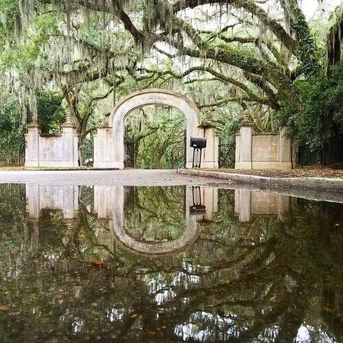 Picture of Wormsloe State Historic Site