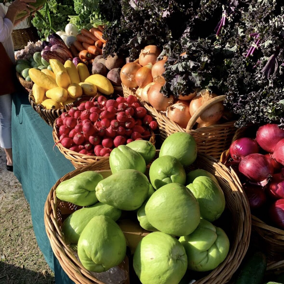 Picture of Delray Beach Green Market