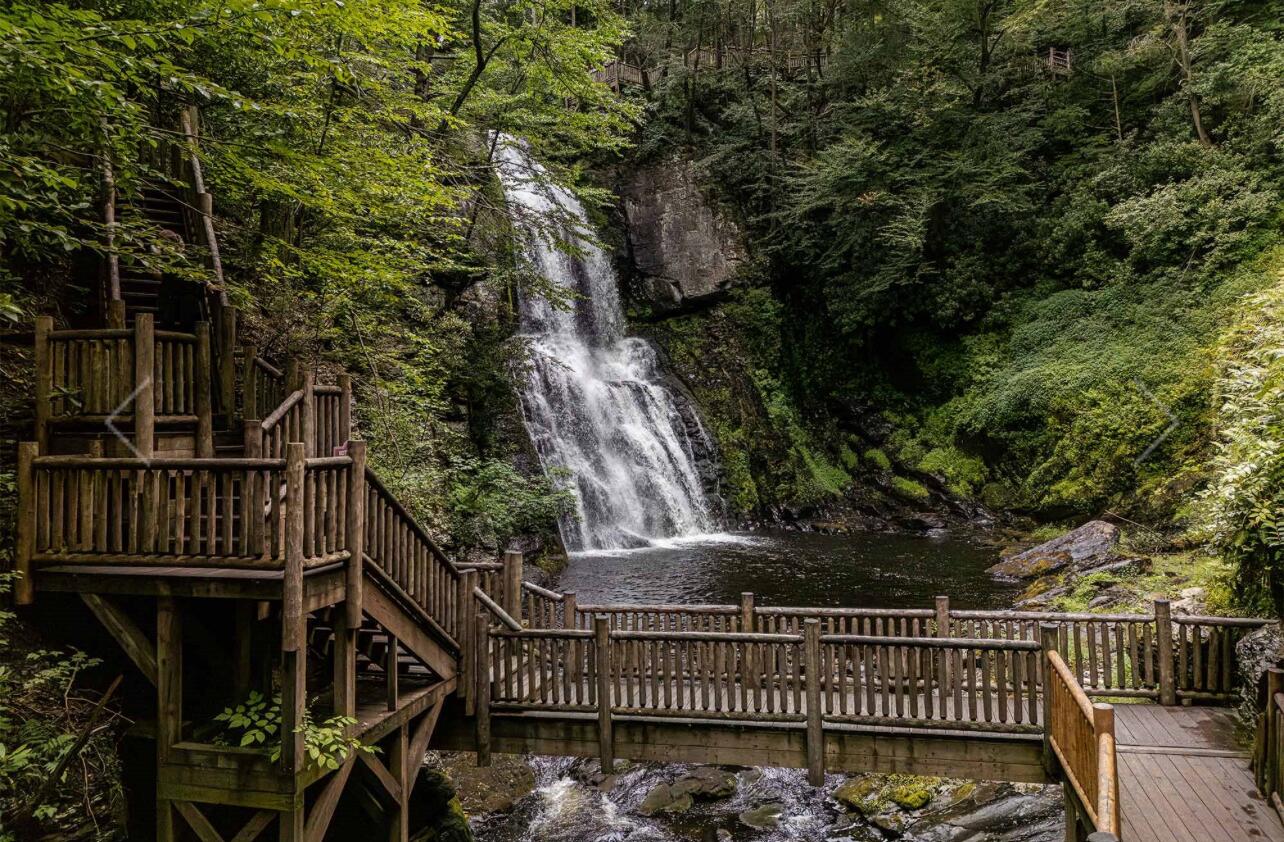 Picture of Bushkill Falls