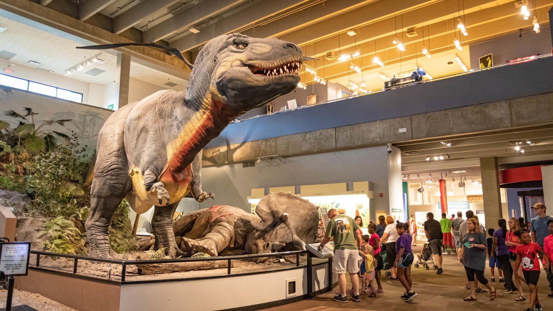 Picture of Saint Louis Science Center