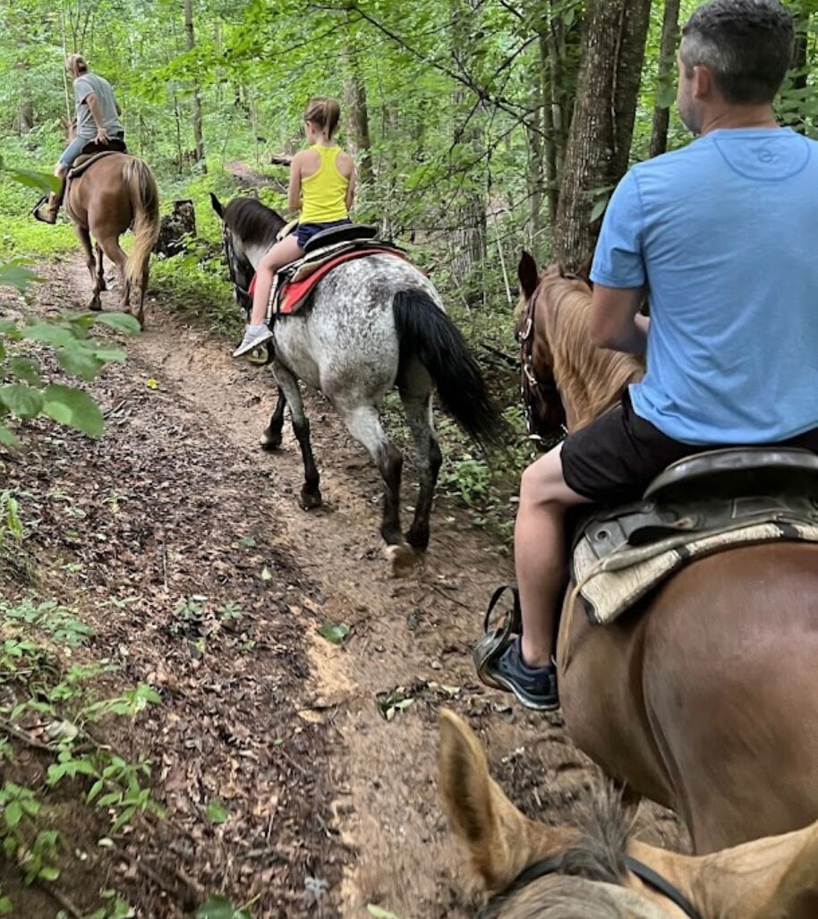 Picture of Cable's Riding Stables