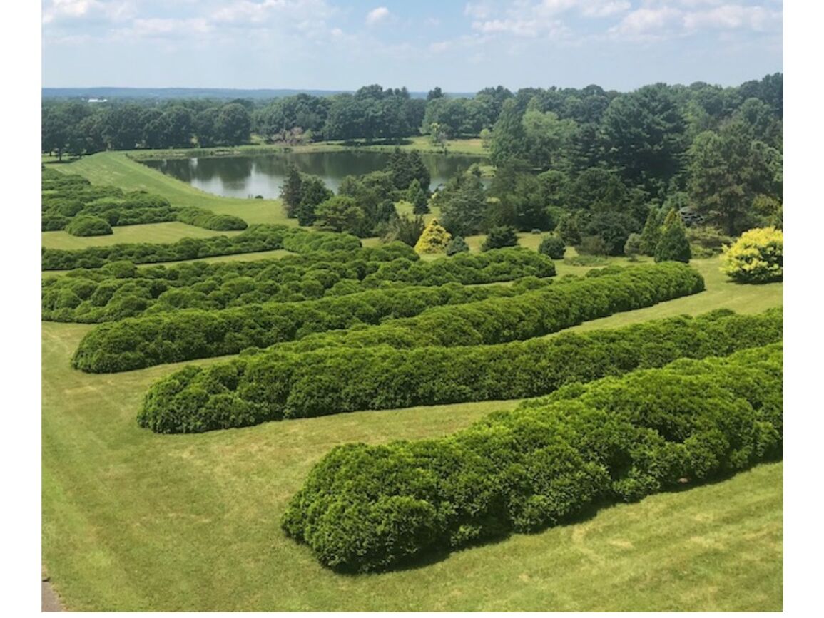 Picture of The Dawes Arboretum