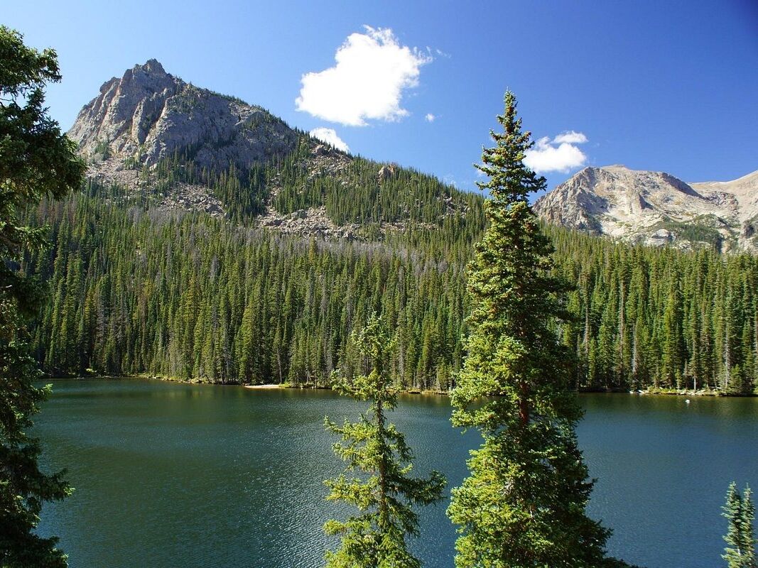 Picture of Hike The Fern Lake Trailhead