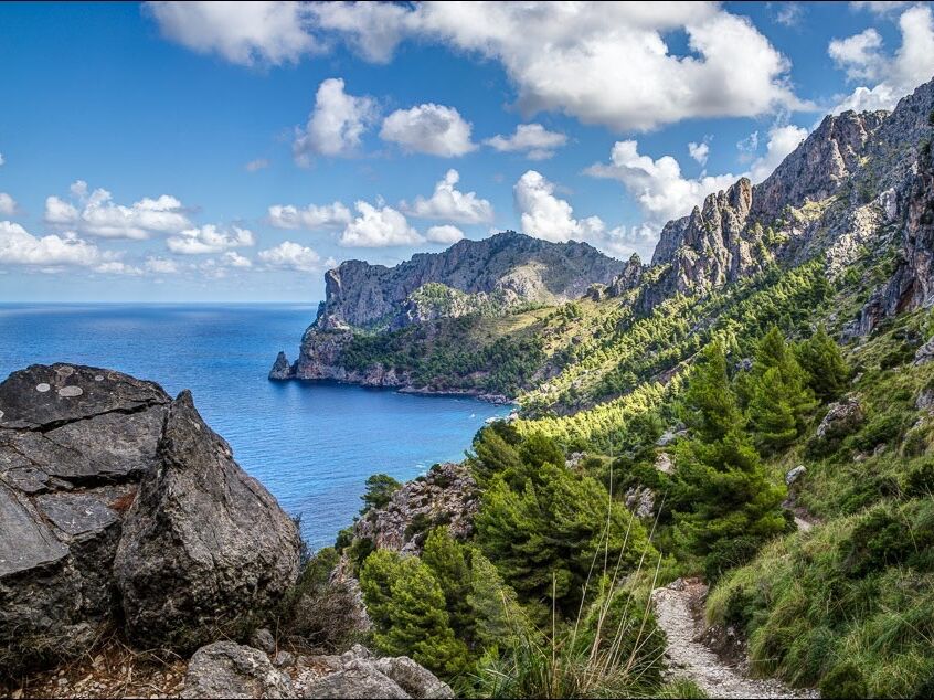 Picture of Boat trip from Port de Sóller to Cala Tuent/Sa Colobra