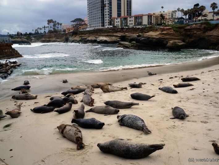 Picture of La Jolla Cove