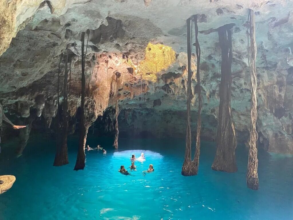 Picture of Xenotes Oasis Tour: