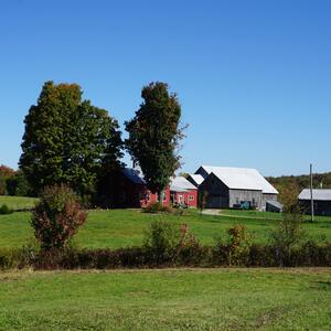 Gallery Photo 37