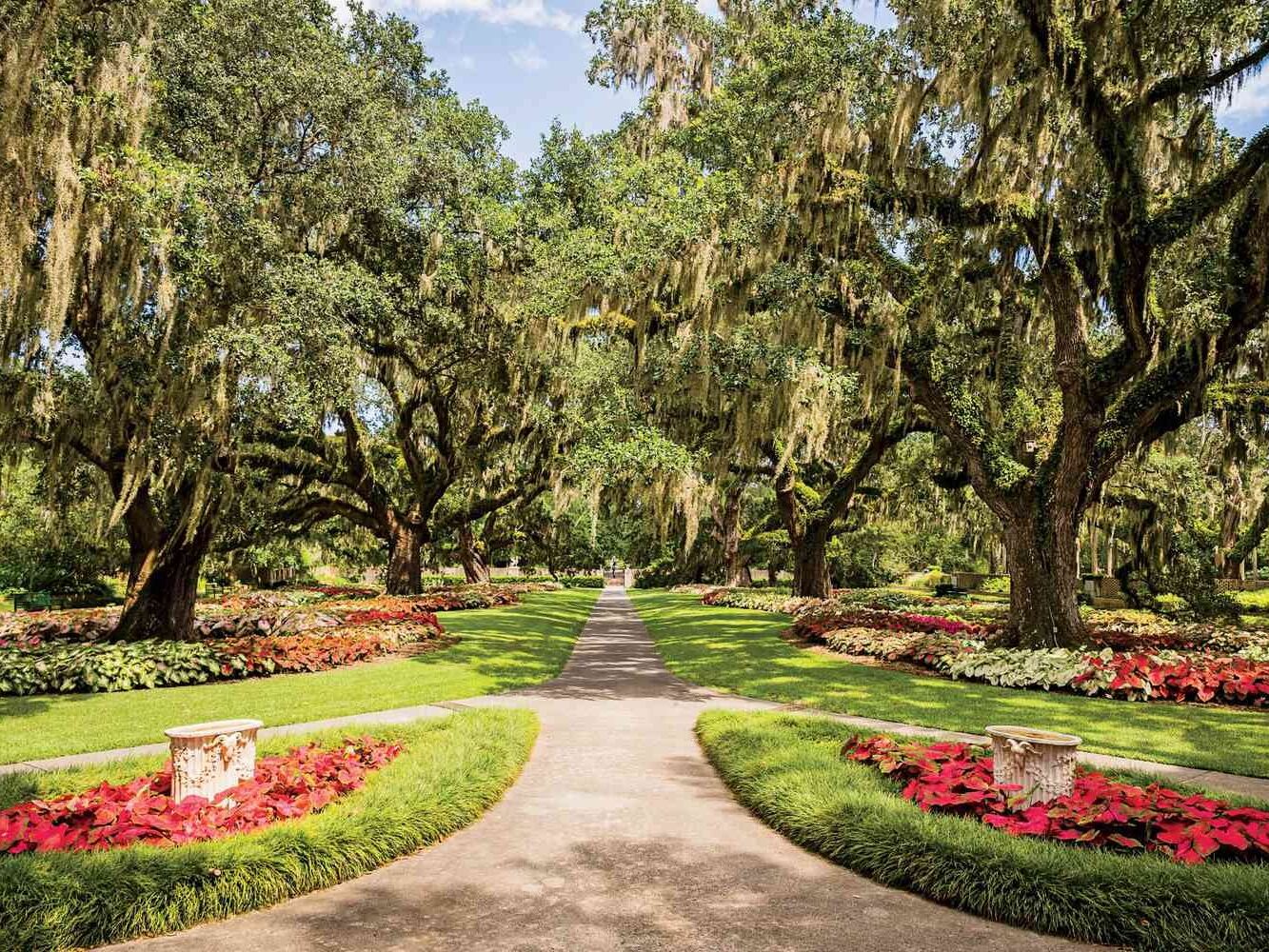 Picture of Brookgreen Gardens