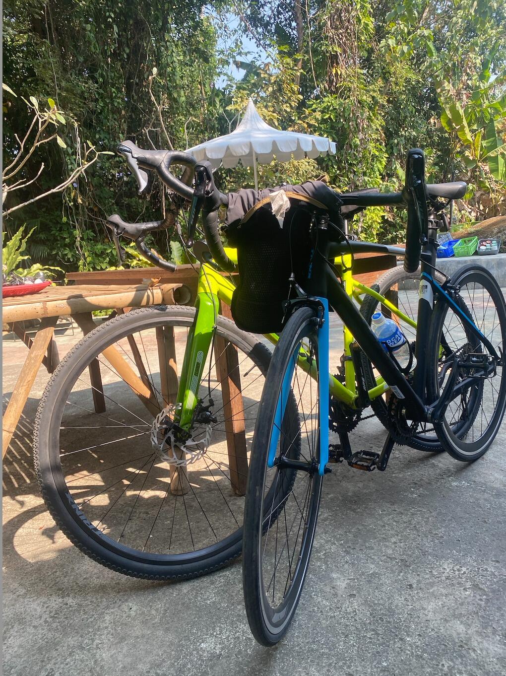 Picture of Brian & Sugar: A Love Story on Wheels