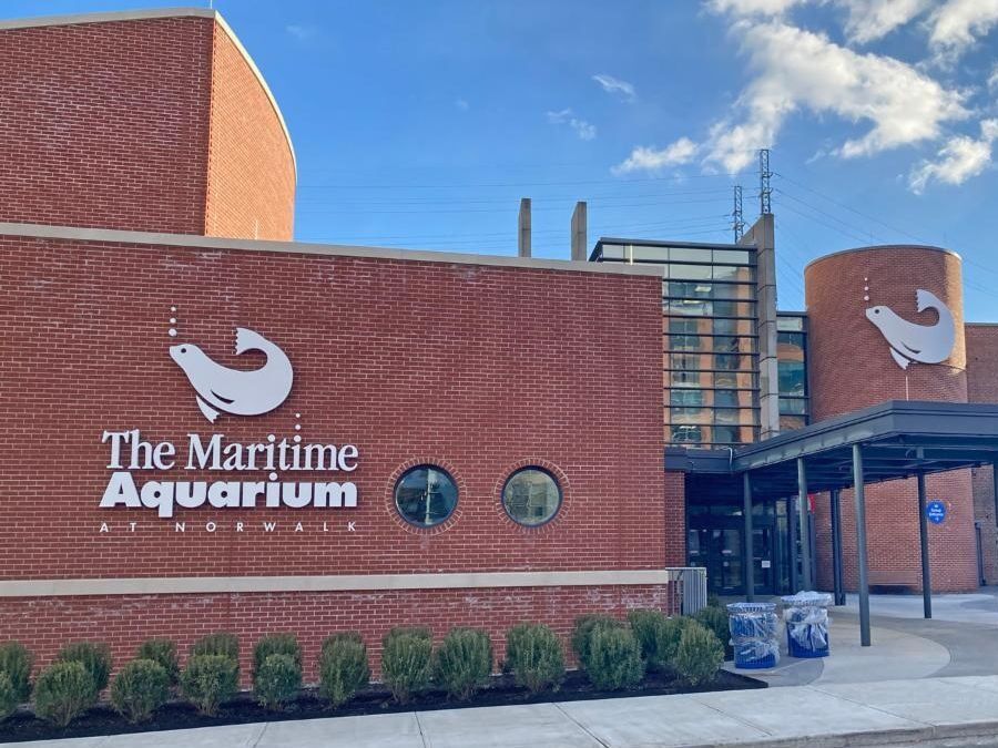 Picture of The Maritime Aquarium at Norwalk