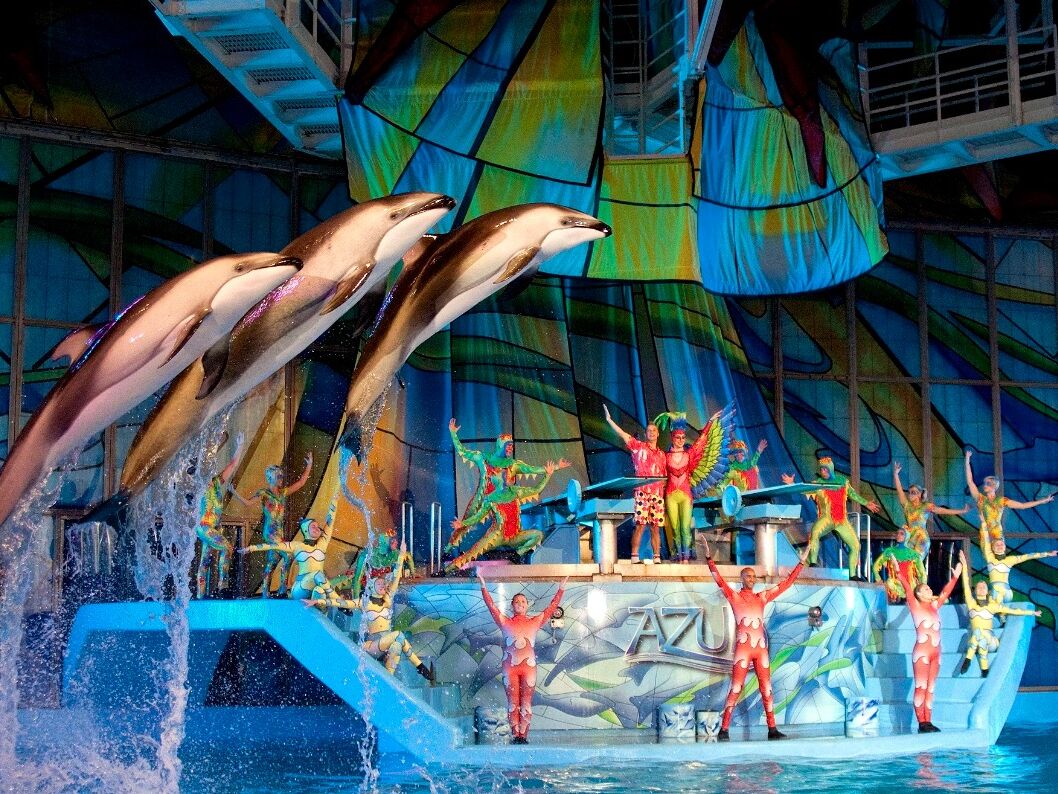 Picture of SeaWorld San Antonio