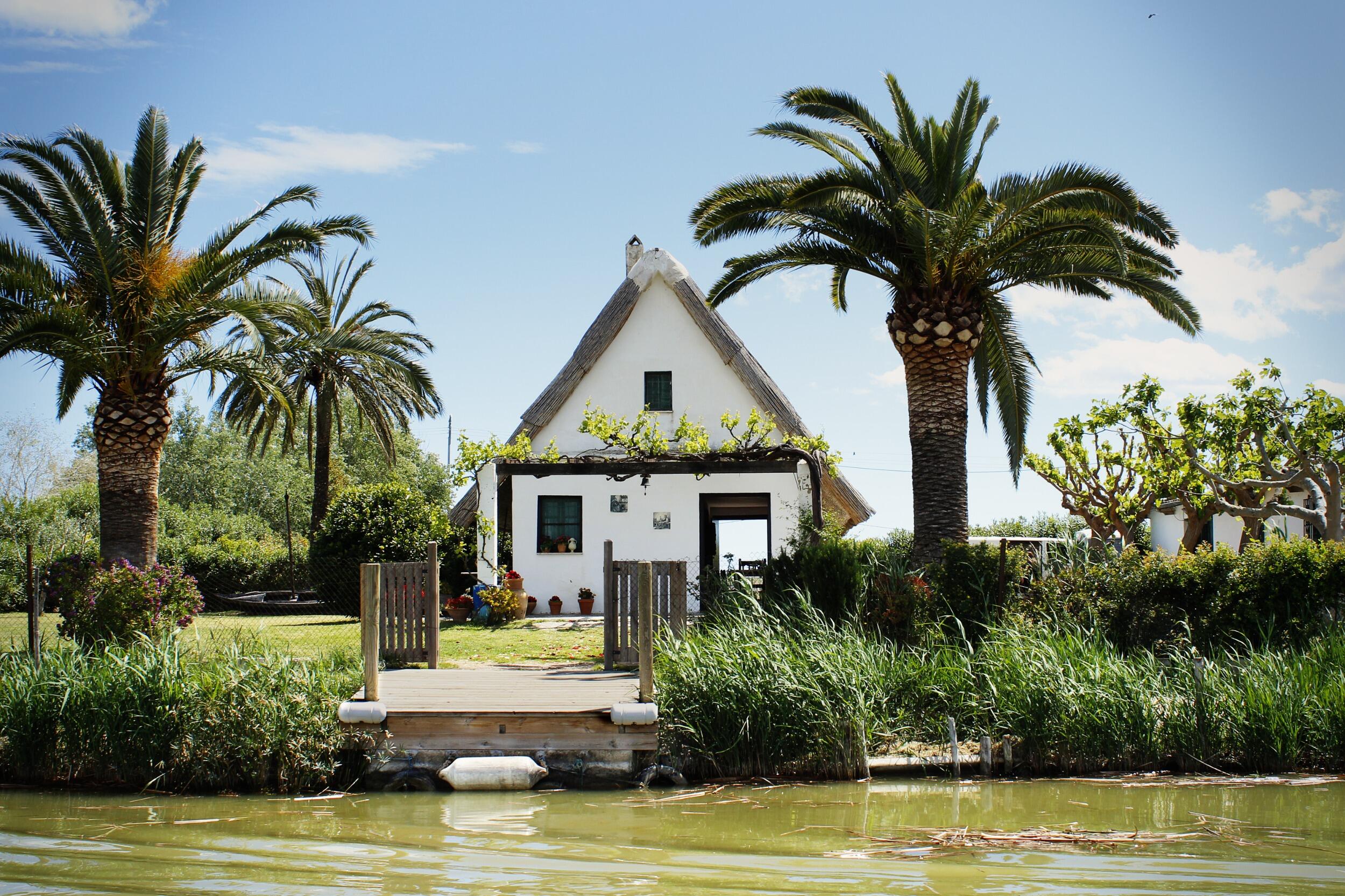 Picture of la Albufera de Valencia Natural Park