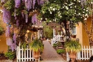 Picture of Glen Ellen Inn