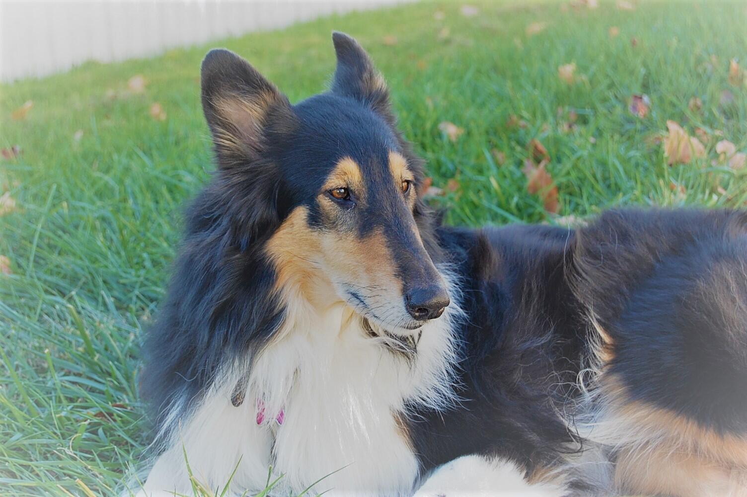 Anita