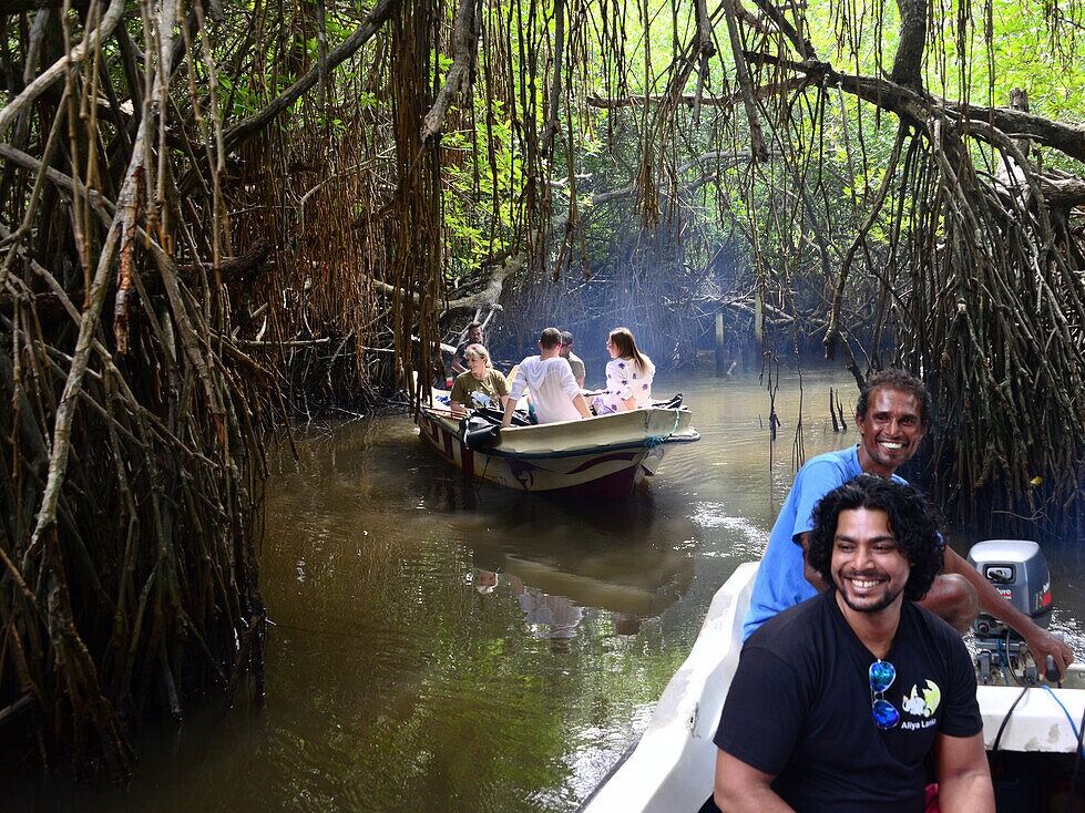 Picture of Bentota Mangroves
