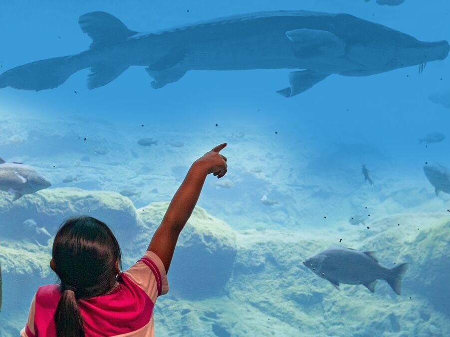Picture of Flint RiverQuarium