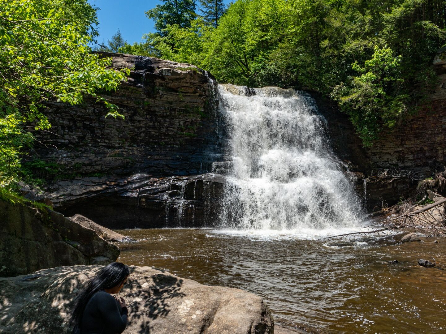Picture of Swallow Falls State Park