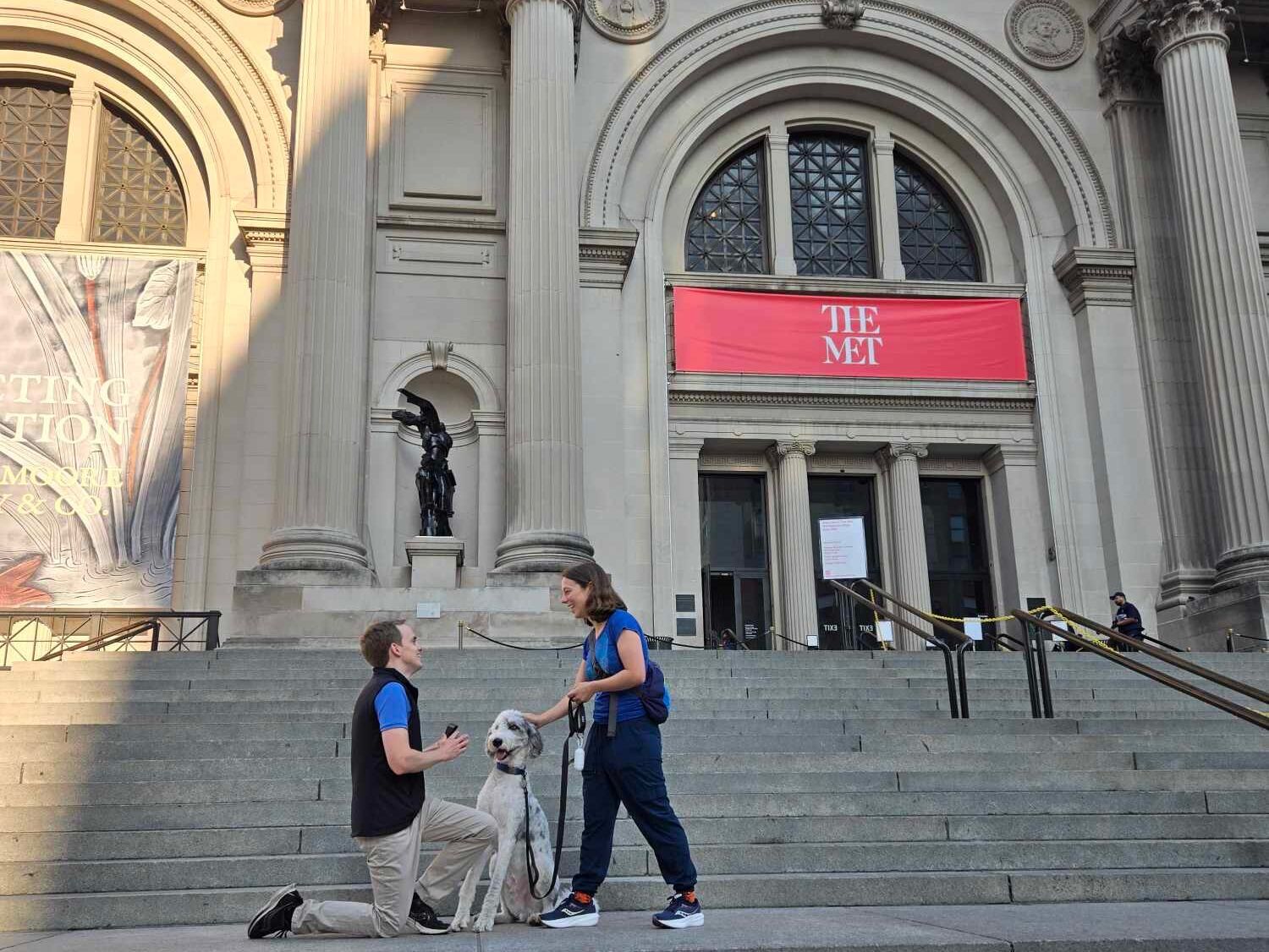 Picture of The Metropolitan Museum of Art