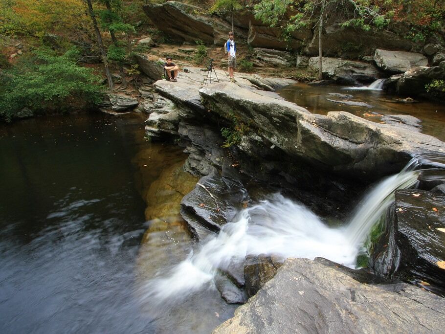 Picture of Swimming