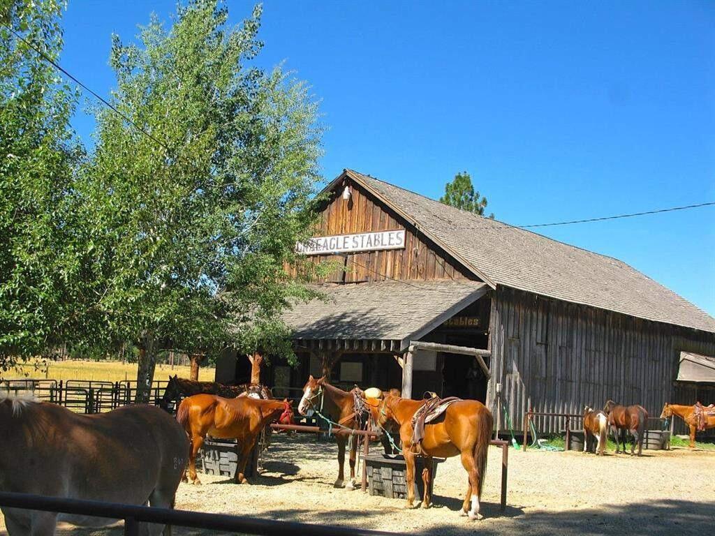 Picture of Horseback ride at Graeagle Stables