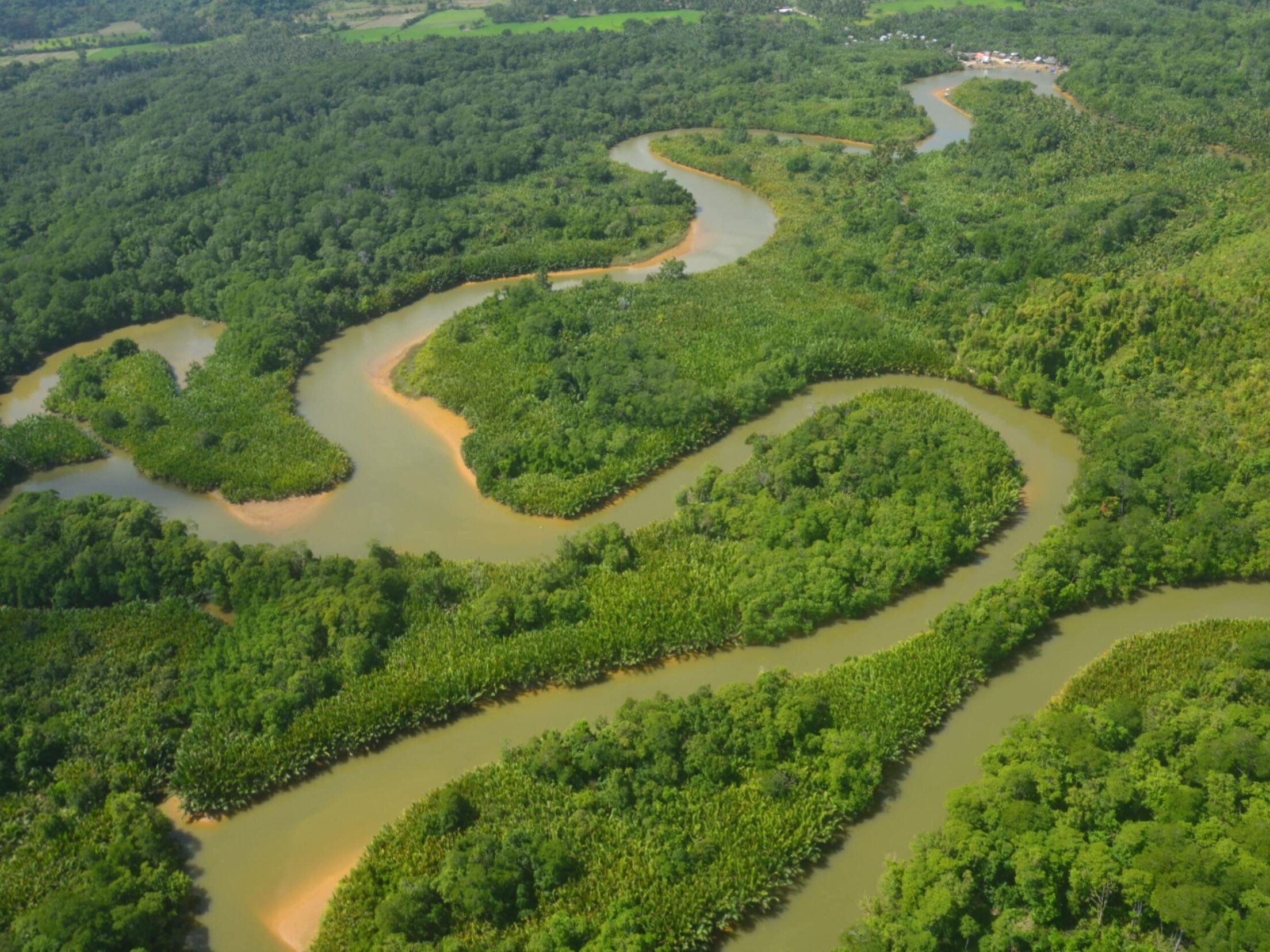 Picture of Off Island Experience: BARBACAN RIVER CRUISE