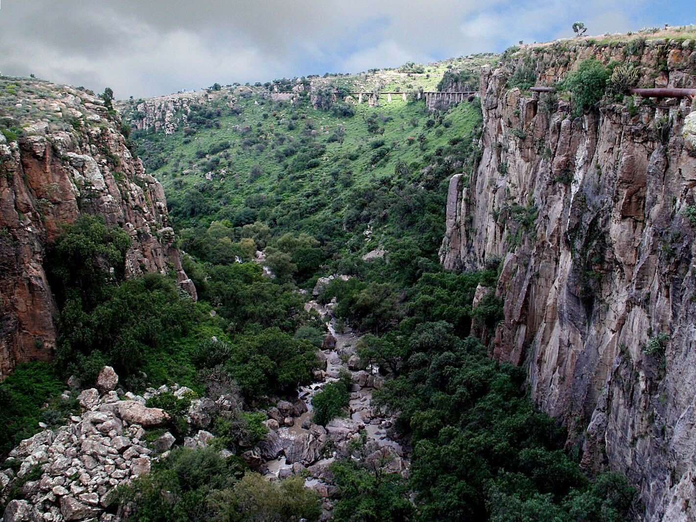 Picture of El Charco del Ingenio Jardín Botánico y Área Natural Protegida