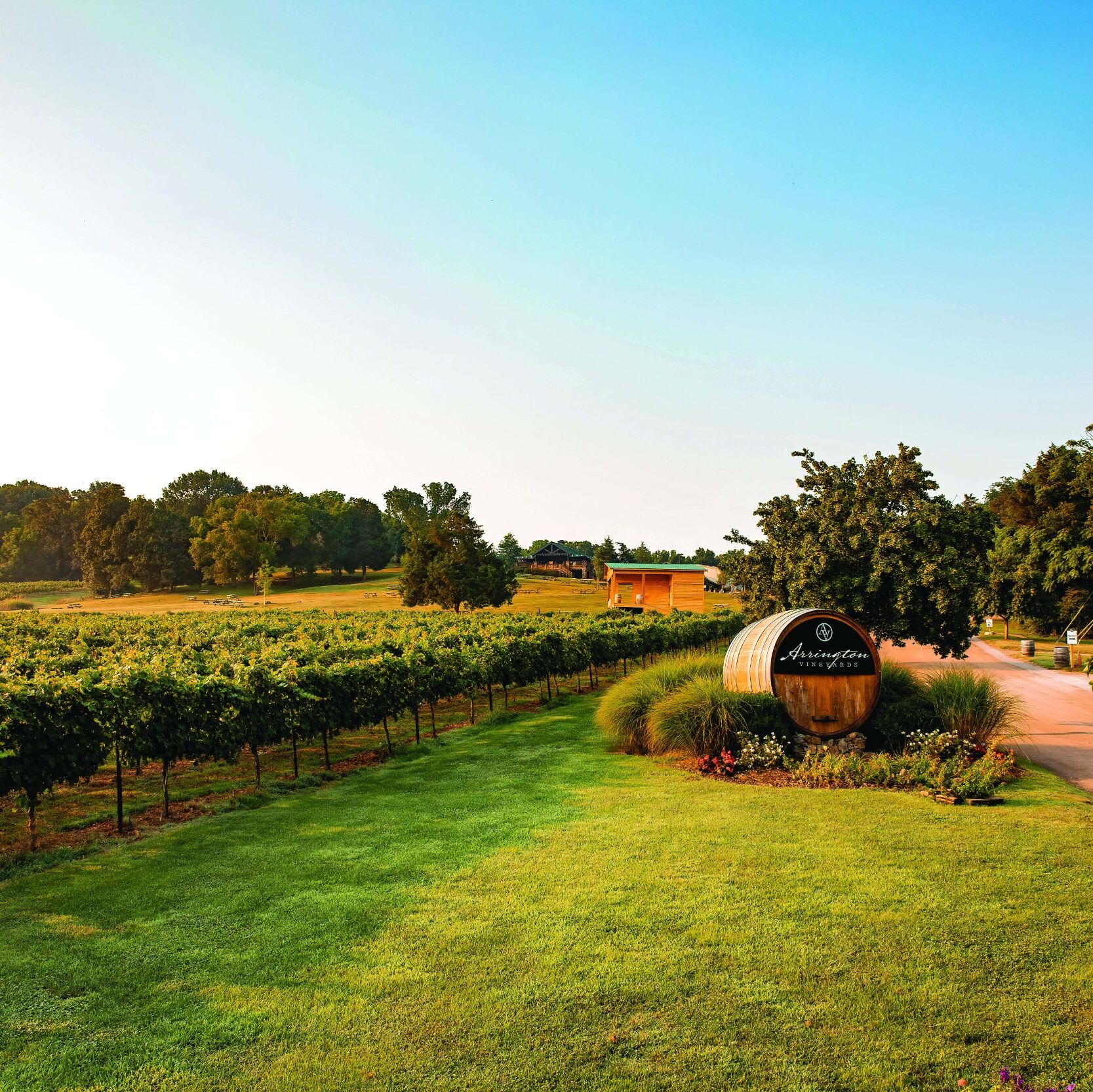 Picture of Arrington Vineyards