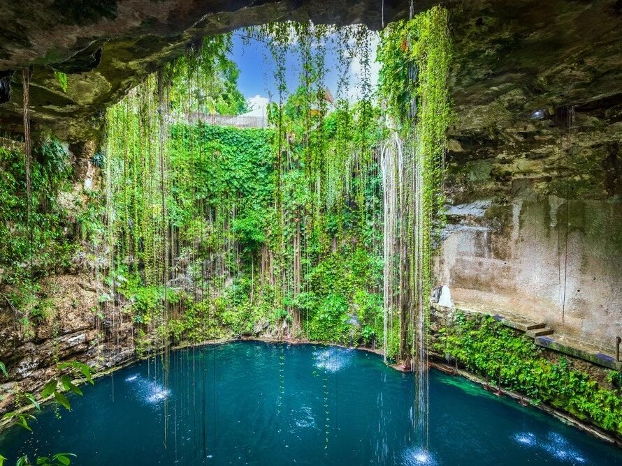 Picture of Visit a Cenote
