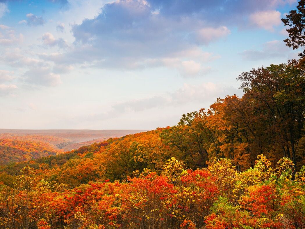 Picture of Brown County State Park